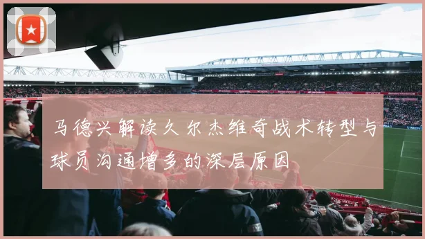 马德兴解读久尔杰维奇战术转型与球员沟通增多的深层原因
