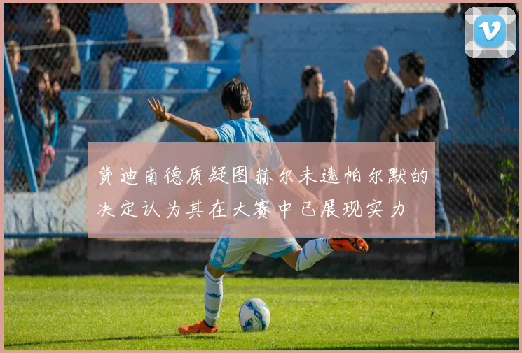 费迪南德质疑图赫尔未选帕尔默的决定认为其在大赛中已展现实力
